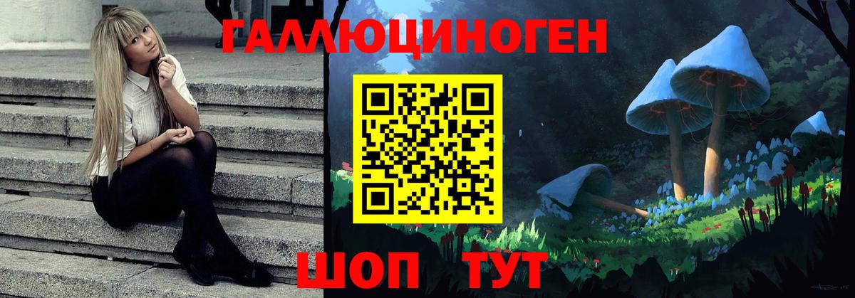 Галлюциногенные грибы Cubensis Улан-Удэ