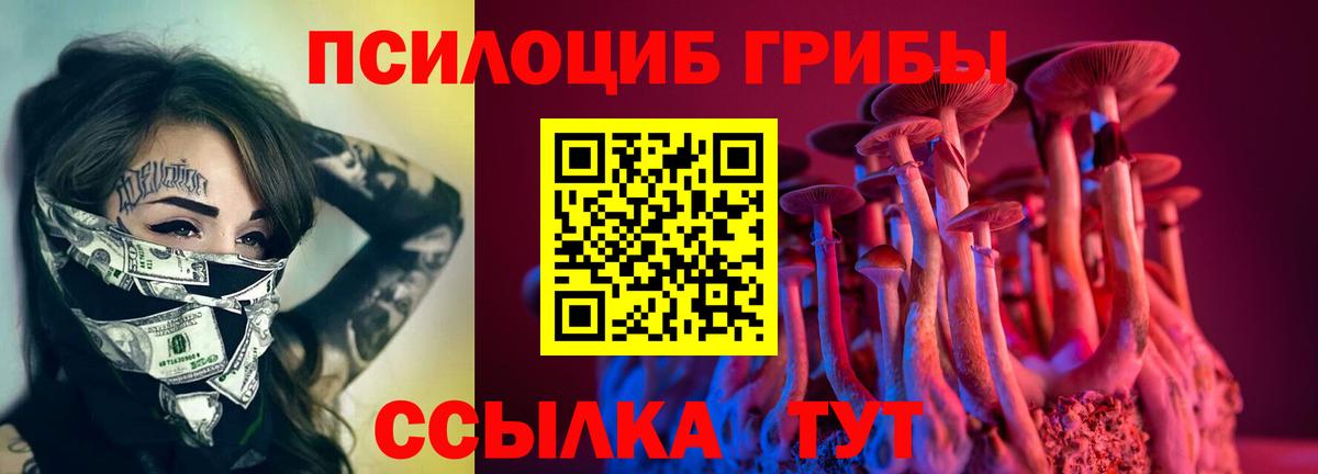 Псилоцибиновые грибы Magic Shrooms  Вход с VPN  Псилоцибиновые грибы мухоморы  цены наркотик  Улан-Удэ 